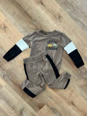 Little Rebels Dinosaur Roarsome Sweatshirt and Jogger Set Size 4T